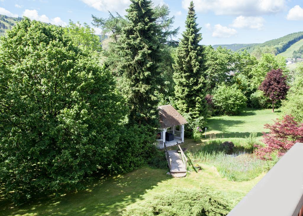 Landhaus Wiesemann Parkappartements & Dependance - Naehe Ettelsberg-Talstation Willingen  Eksteriør bilde